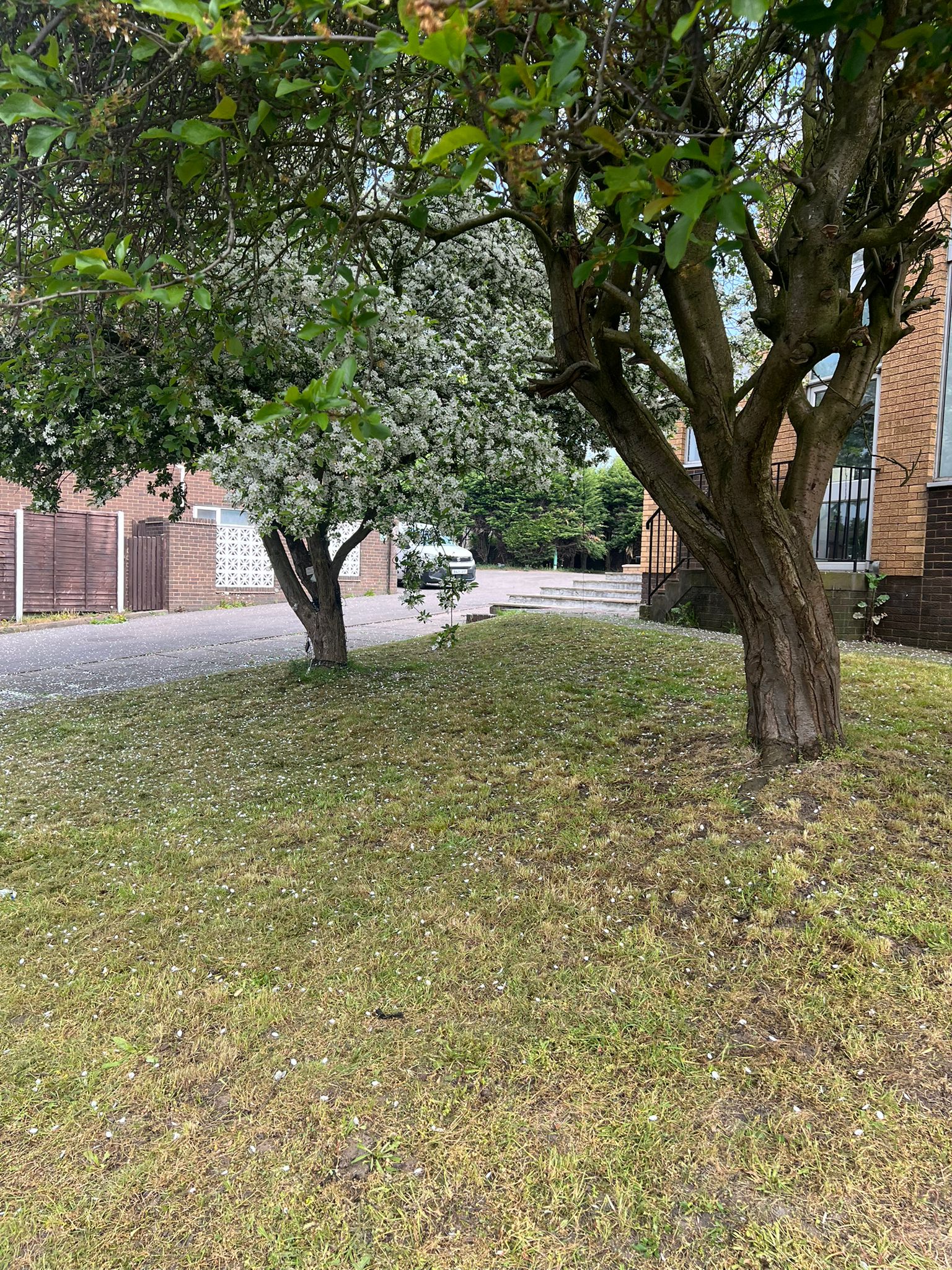 Expansion photo 9
